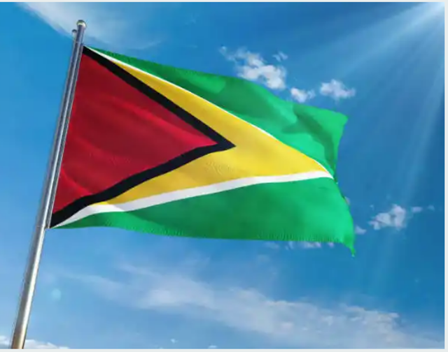 A flag of guyana flying in the sky.