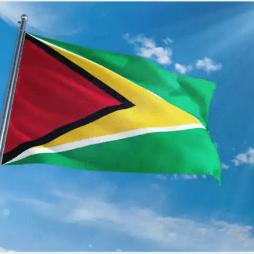 A flag of guyana flying in the sky.